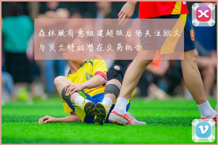 森林狼有意组建超级后场关注欧文与莫兰特的潜在交易机会